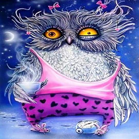 Sparkly Selections Pajama Owl Diamond Painting Kit, Round Diamonds